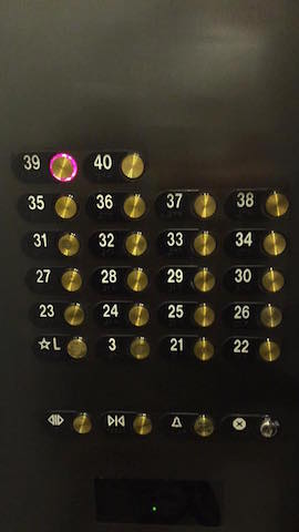 11182281_10155556768510085_2066324165341821874_n