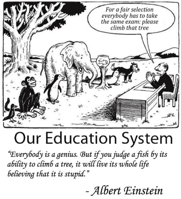 Our education system - comic