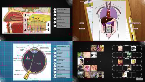 Curriculum Curriculum