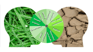 Climate_Change_Spinner_Activity
