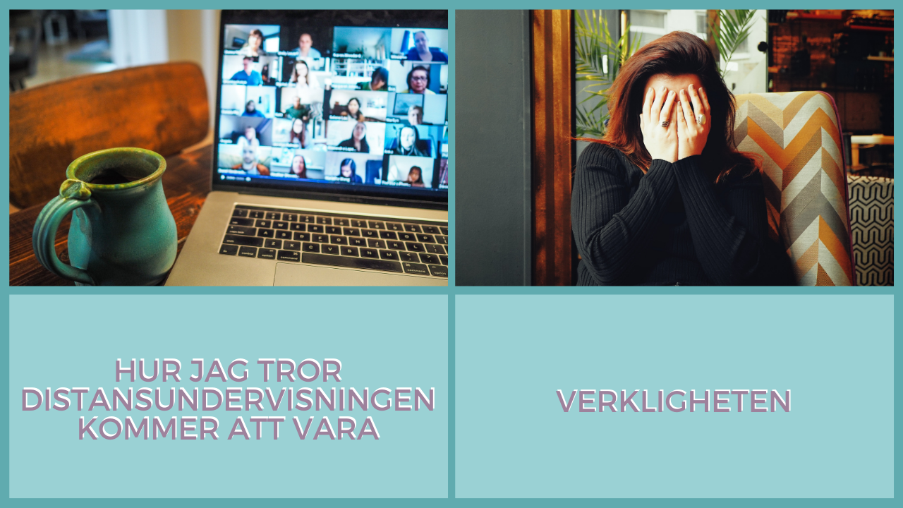Distansundervisning förväntningar och verkligheten