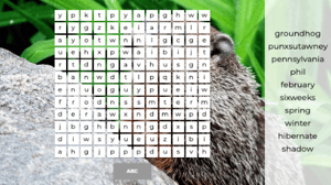 GroundhogDay