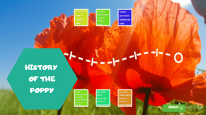 History of the Poppy