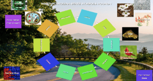 Screenshot 2020-06-25 at 11.43.33