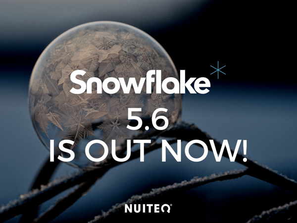 Snowflake 5.6.png