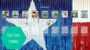 Texas state symbols
