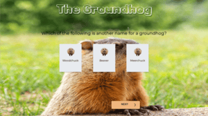 TheGroundhog