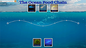 World_Oceans_Day_Activity_2