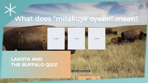 lakota-and-the-buffalo-quiz
