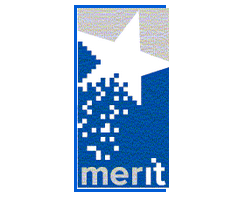 MerIT-2010